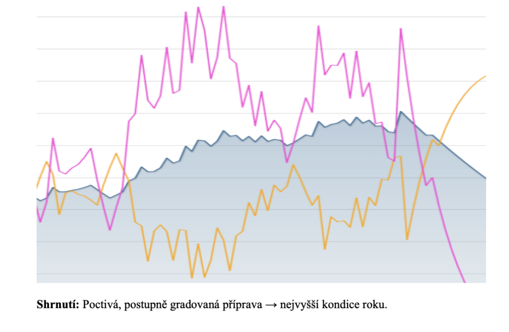 Trénovat s AI, nebo s trenérem?
